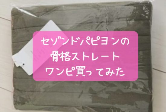 セゾンドパピヨン骨格ストレート・ワンピースの口コミ※年齢的に上品な感じ